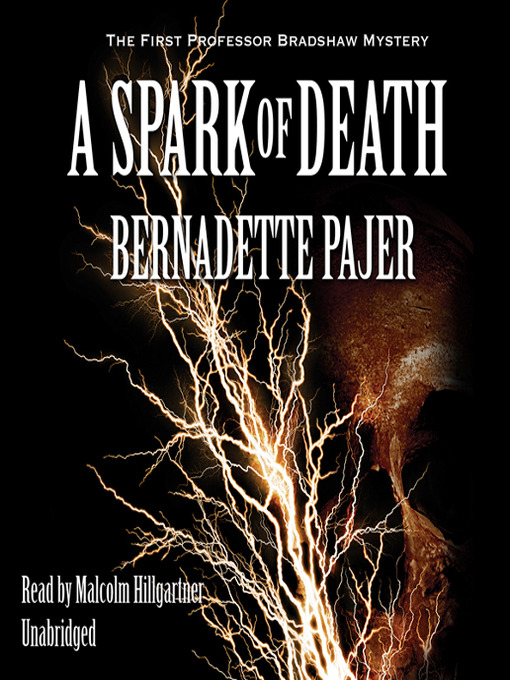 Bernadette Pajer 的 A Spark of Death 內容詳情 - 可供借閱